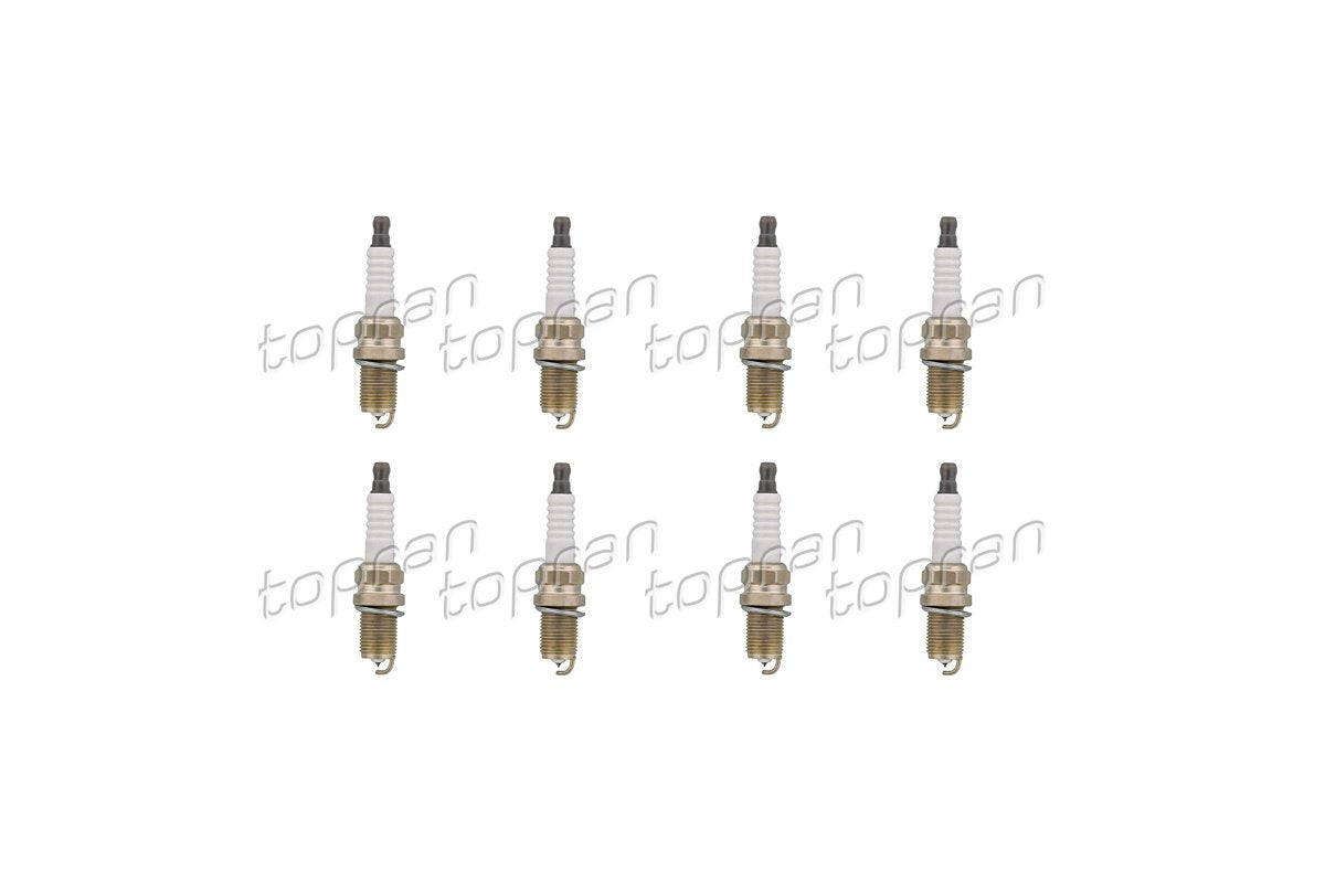 BMW Spark Plug Set of 8 12122158252X8 Only Euro
