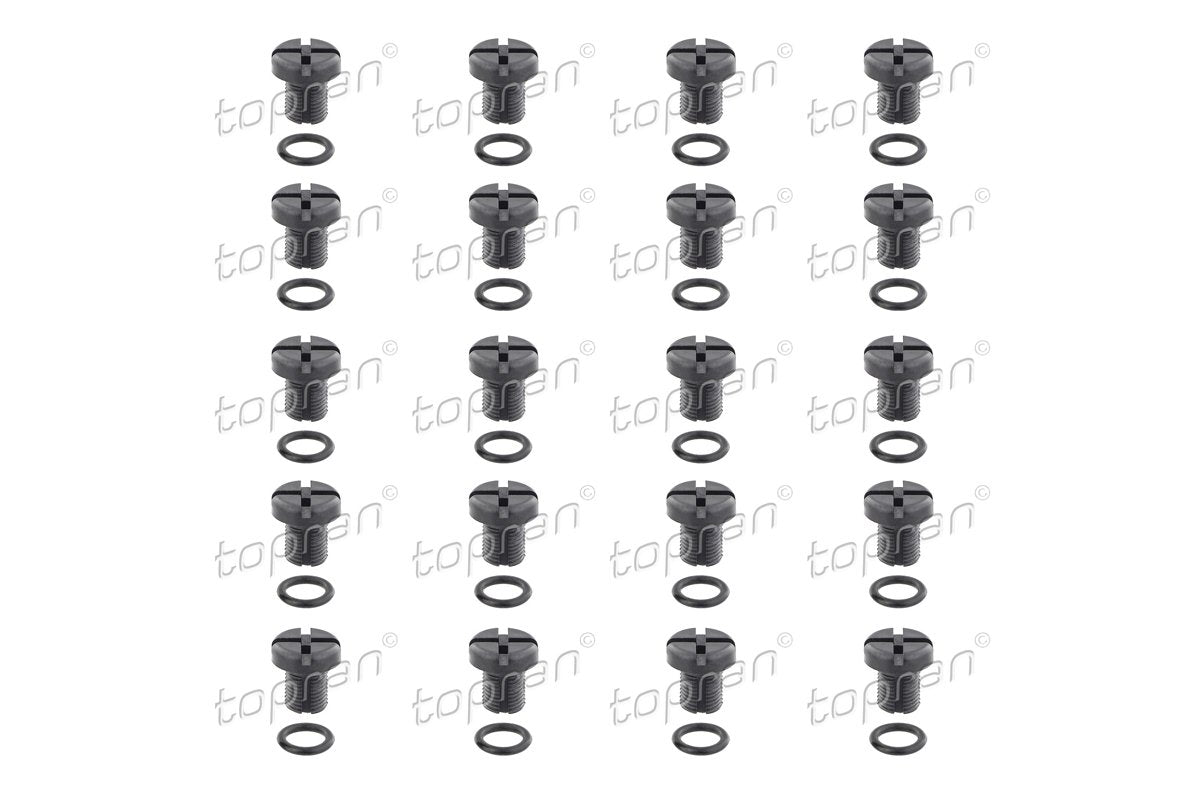BMW Coolant Bleed Screw Pack of 20 17111712788X20 Only Euro