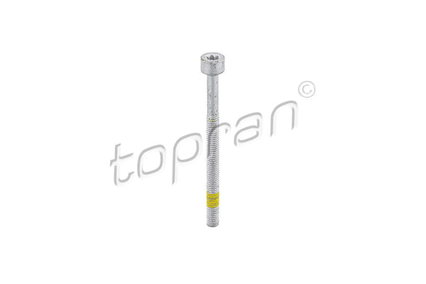 Mercedes Fuel Injector Bolt - 0009902907