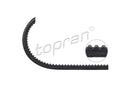 VW Accessory Drive Belt 10X625 - 027903137
