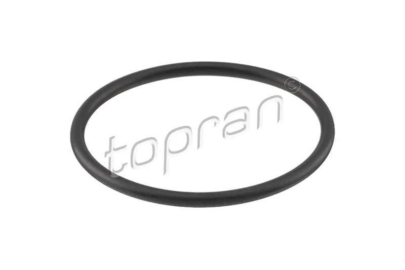Audi VW Thermostat Gasket O-Ring - 03C121119C