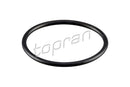 Audi VW Thermostat Gasket O-Ring - 06H121119E