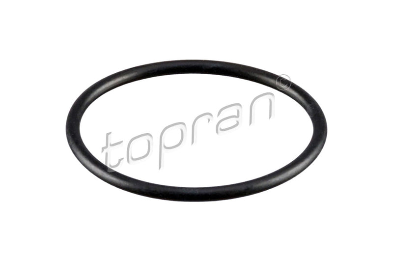 Audi VW Thermostat Gasket O-Ring - 06H121119E