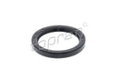 VW Crankshaft Seal Rear - 113105245F