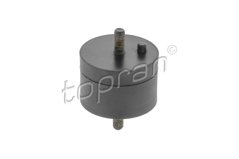 BMW Engine Mount - 11811132321