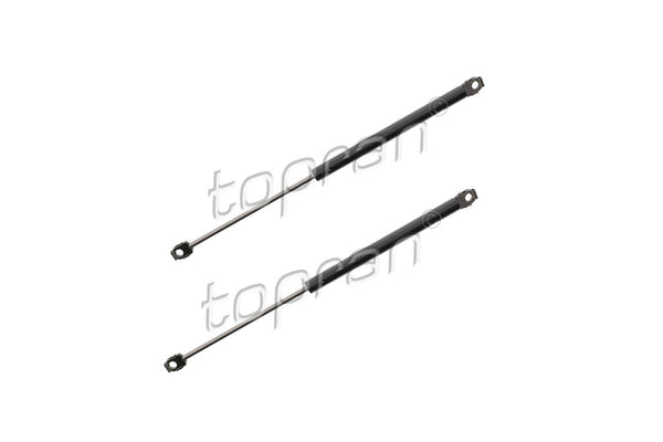 BMW Bonnet Strut Set - 51231960852X2