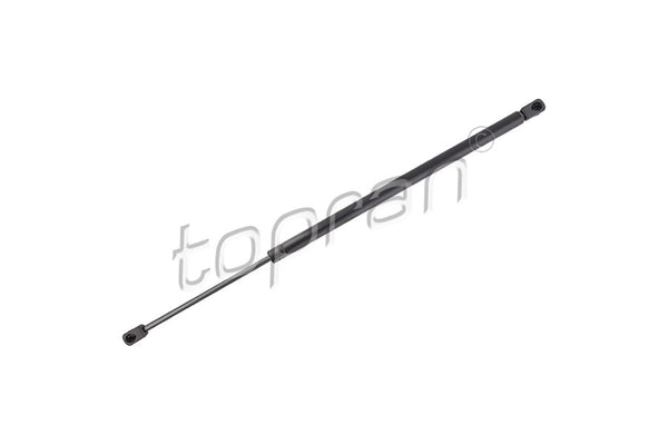 BMW Tailgate Strut - 51247178273