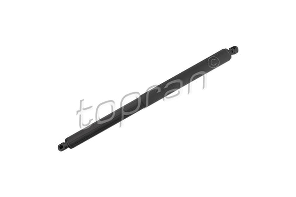 BMW Tailgate Strut - 51247294199