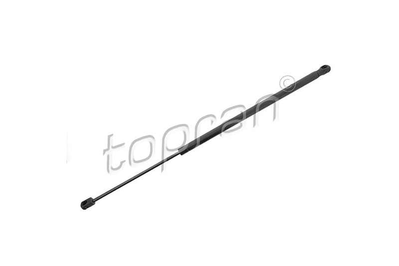 BMW Tailgate Strut - 51247456042
