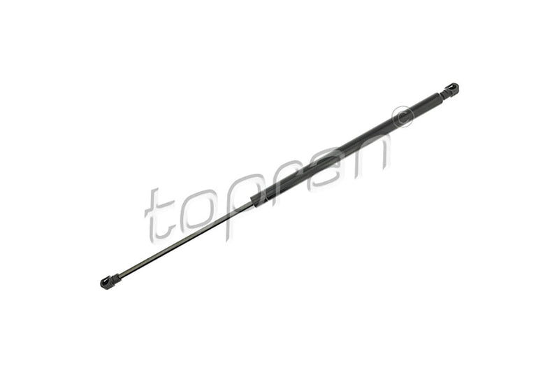 BMW Tailgate Strut - 51248232873