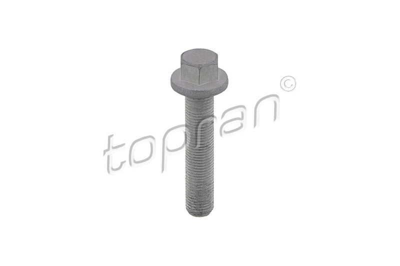 BMW MINI Harmonic Balancer Bolt - 11217616164