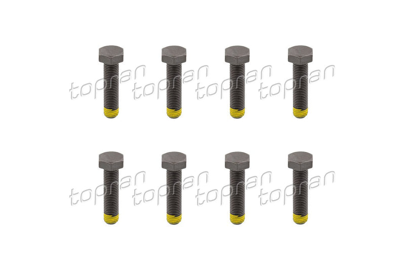 BMW Flywheel Bolt Set of 8 - 11222243051X8