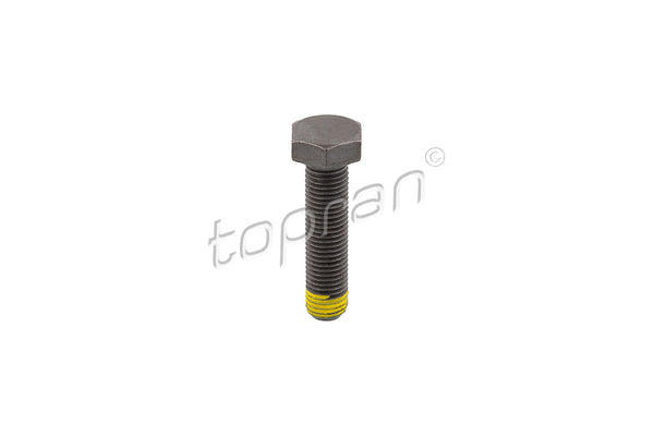 BMW Flywheel Bolt - 11222243051