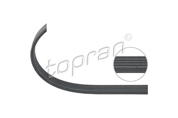 BMW A/C Drive Belt 5PK890 - 11281703943