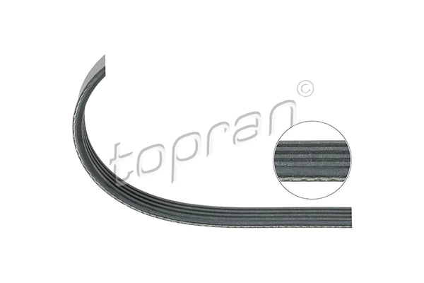 Audi BMW A/C Drive Belt 4PK889 - 11281743193