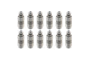 BMW Valve Lifter Set of 12 - 11337605330X12