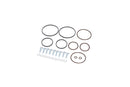 BMW Vanos Repair Kit - 11361440134RK1