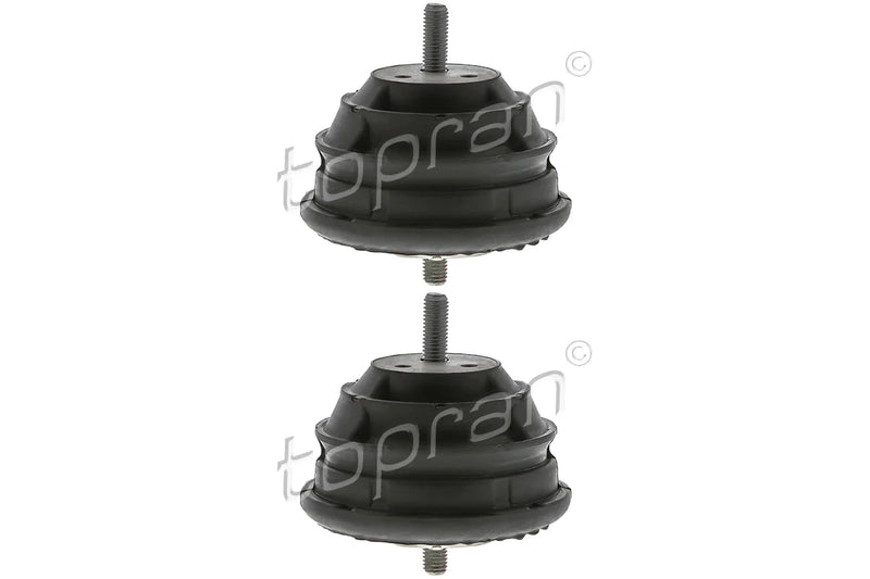 BMW Engine Mount Set - 11811139019X2