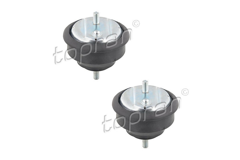 BMW Engine Mount Set - 11811141377X2