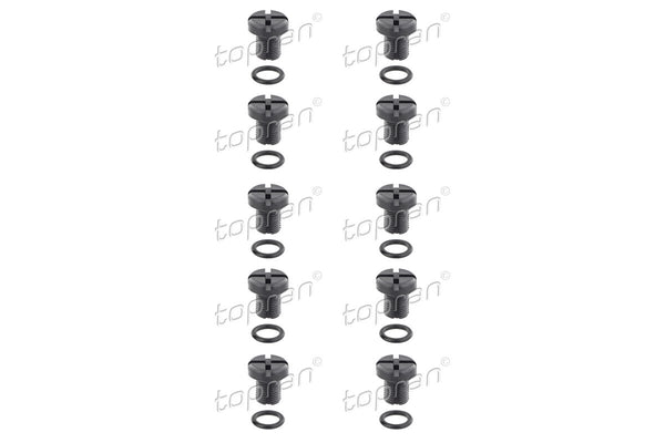 BMW Coolant Bleed Screw Pack of 10 - 17111712788X10