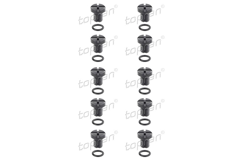 BMW Coolant Bleed Screw Pack of 10 - 17111712788X10