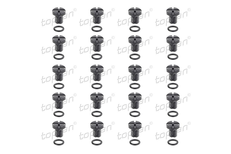 BMW Coolant Bleed Screw Pack of 20 - 17111712788X20