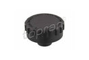 BMW Coolant Cap - 17114379047
