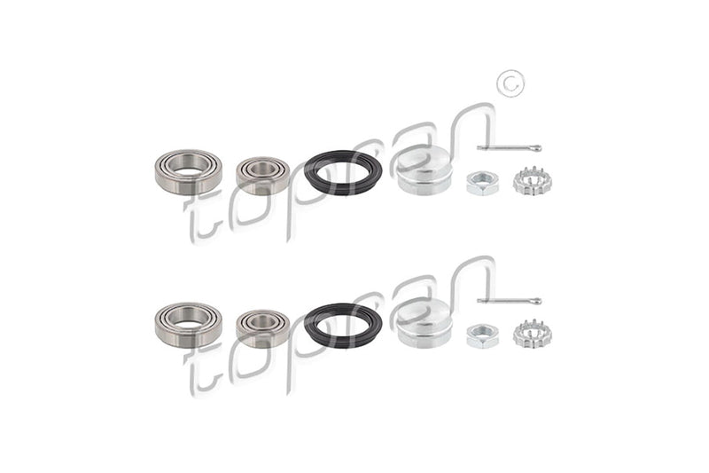 Audi VW Wheel Bearing Set Rear - 191598625X2