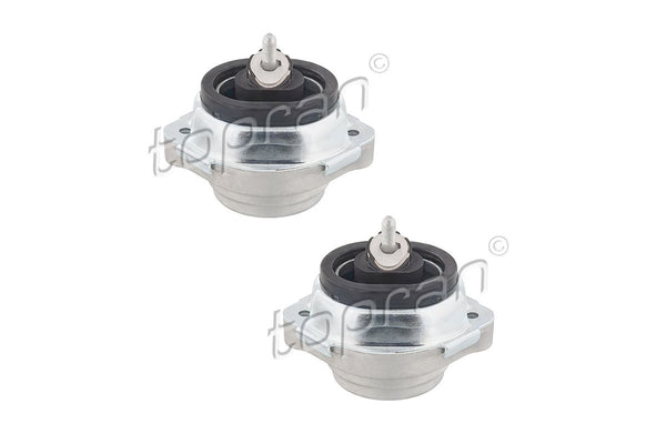 BMW Engine Mount Set - 22116770794X2