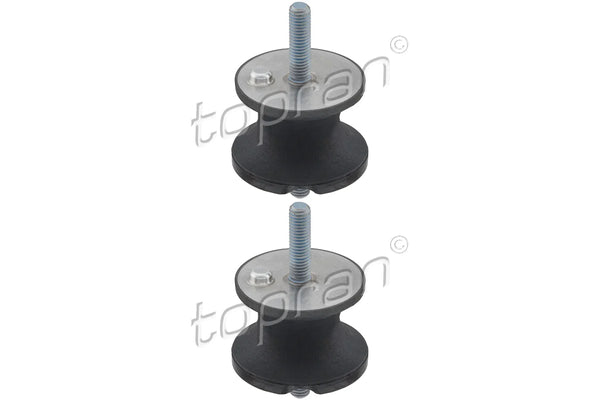 BMW Transmission Mount Set - 22316799411X2