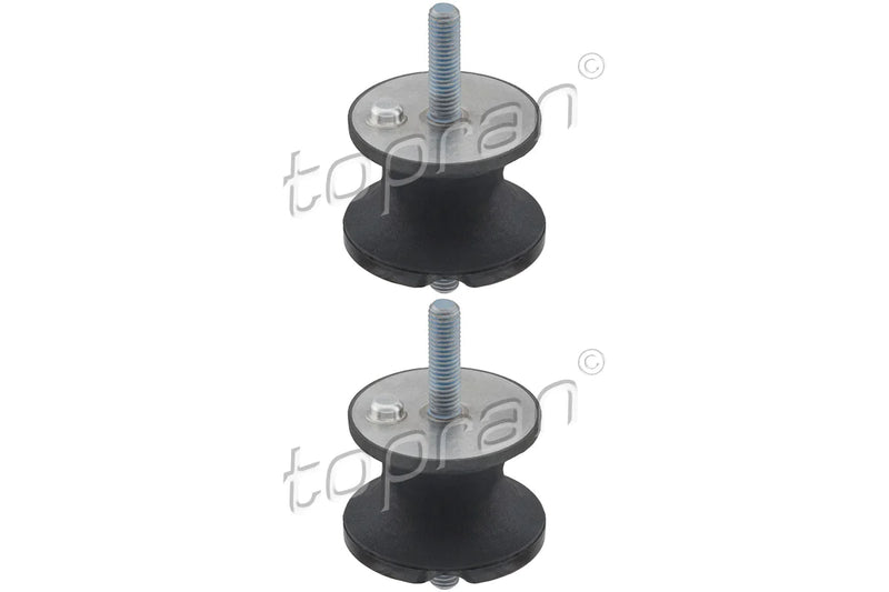 BMW Transmission Mount Set - 22316799411X2