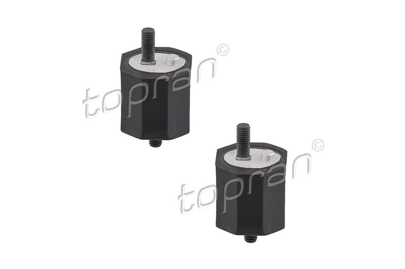 BMW Transmission Mount Set - 23711176041X2