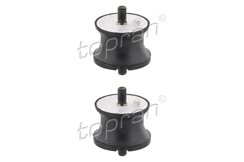 BMW Transmission Mount Set - 24701138435X2