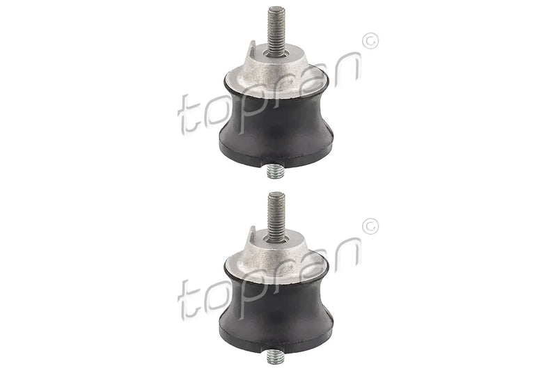 BMW Transmission Mount Set - 24711131663X2