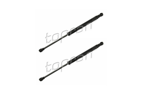 BMW Bonnet Strut Set - 41612990344X2