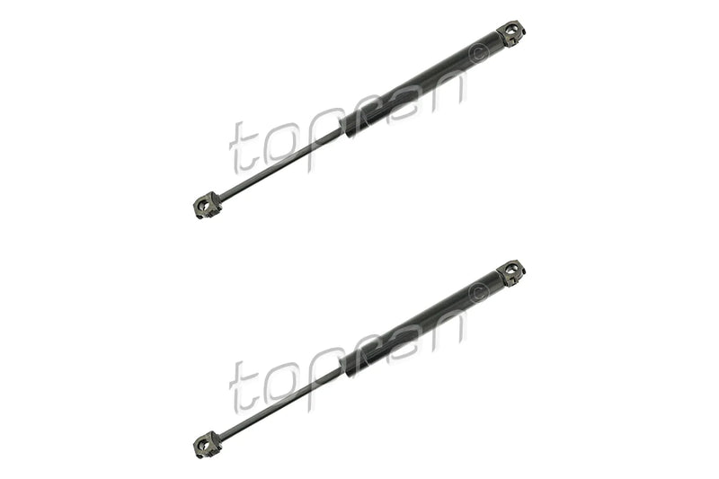 BMW Bonnet Strut Set - 51231908465X2