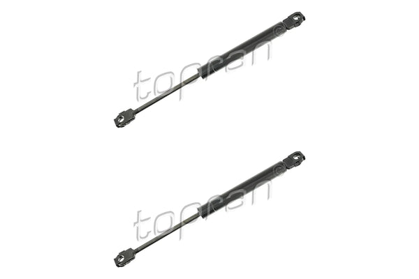 BMW Bonnet Strut Set - 51231944119X2