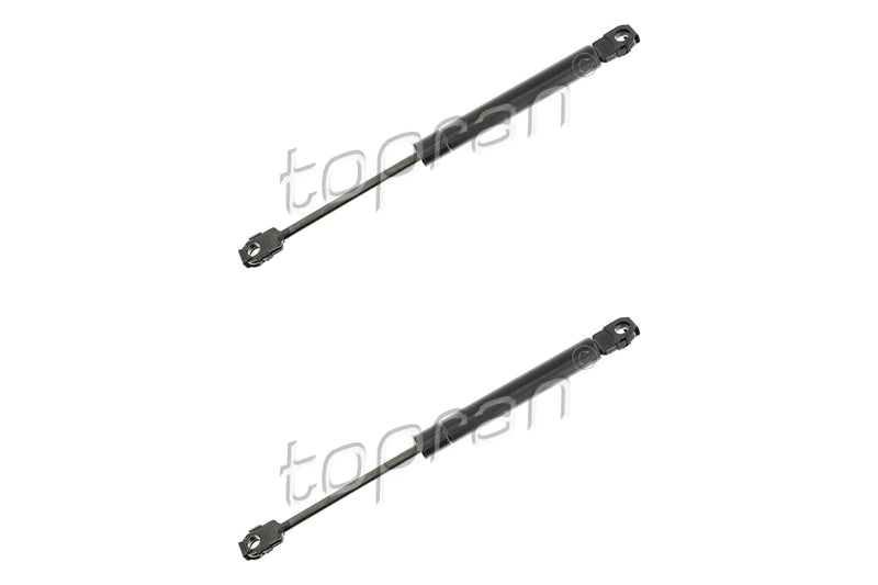 BMW Bonnet Strut Set - 51231944119X2