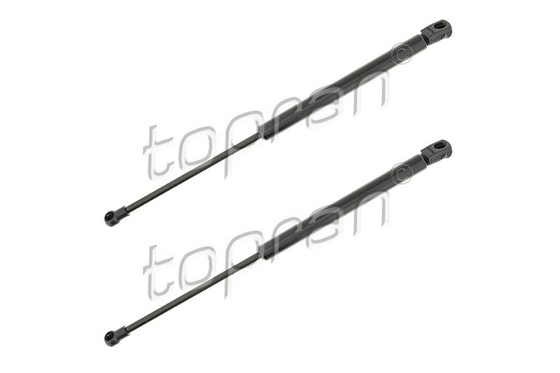 BMW Bonnet Strut Set - 51237060550X2