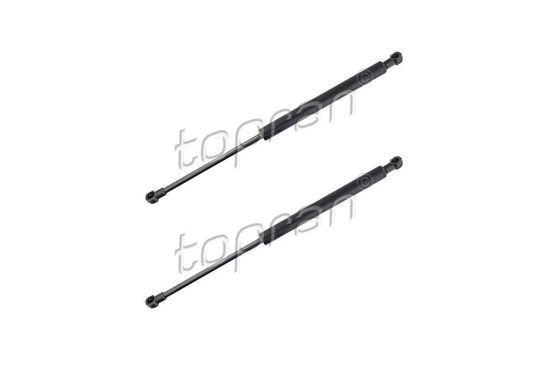 BMW Bonnet Strut Set - 51237118370X2