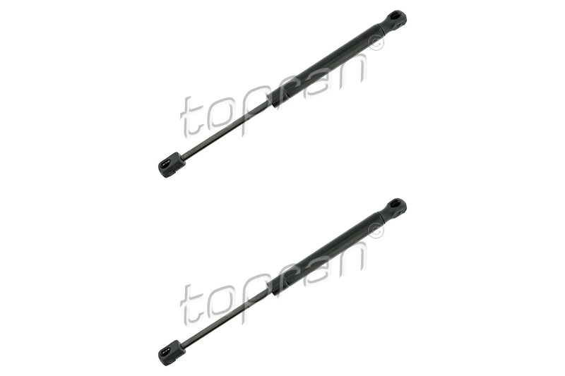 BMW Bonnet Strut Set - 51237309119X2