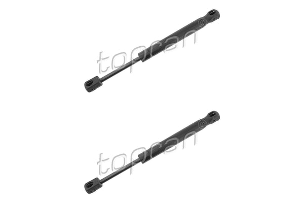 BMW Bonnet Strut Set - 51237473453X2