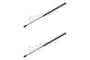 BMW Bonnet Strut Set - 51238119558X2