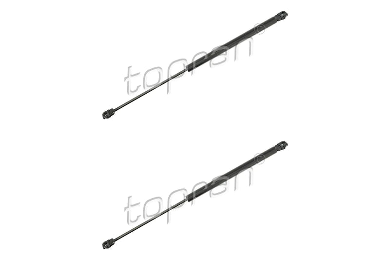 BMW Bonnet Strut Set - 51238119558X2