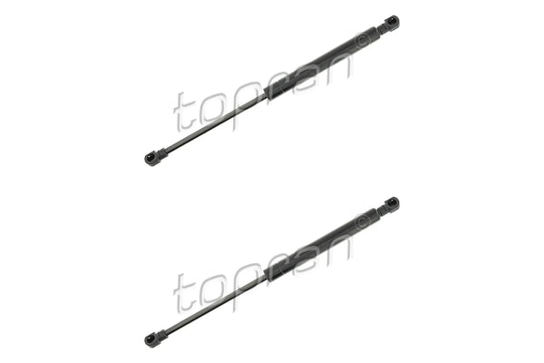 BMW Bonnet Strut Set - 51238174866X2