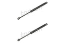 BMW Boot Lid Strut Set - 51241908431X2
