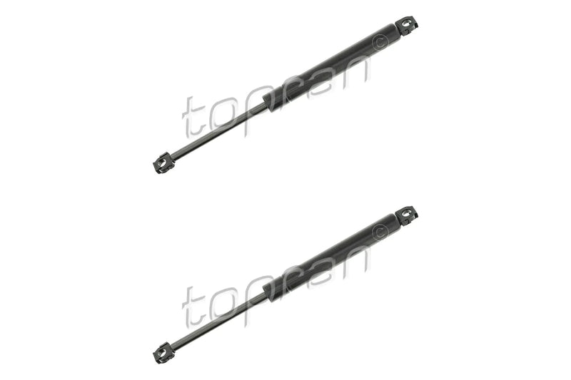 BMW Boot Lid Strut Set - 51241908431X2