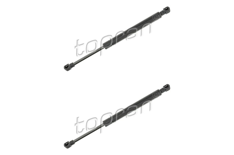 BMW Boot Lid Strut Set - 51241960862X2