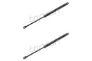 BMW Boot Lid Strut Set - 51242231663X2