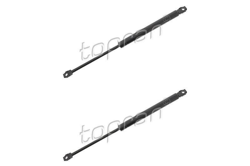 BMW Boot Lid Strut Set - 51242231663X2